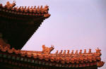 Roofs in the forbidden city