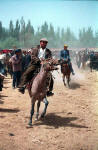 Kashgar horse market